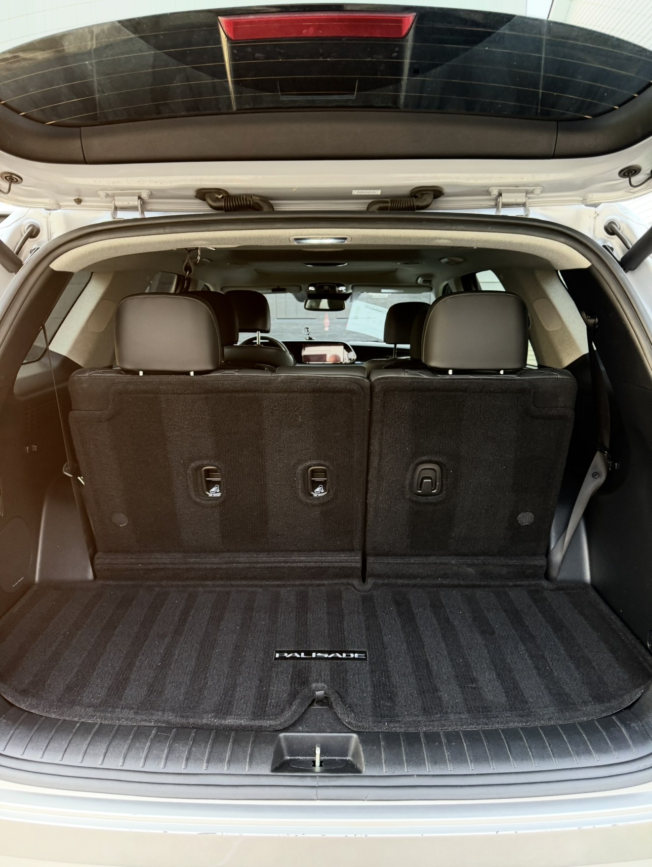 Vacuumed Hyundai Palisade cargo area and seat backs